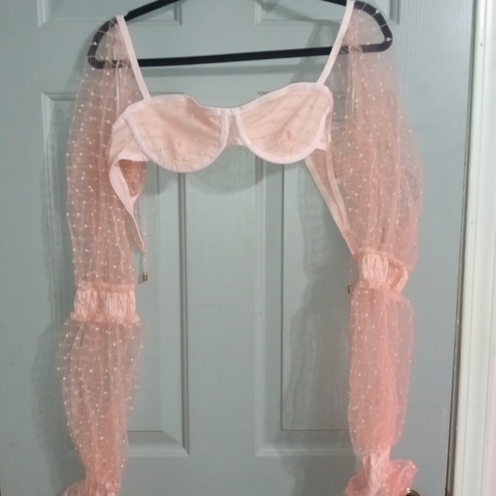 Dolls Kill Pink Sheer Crop Top